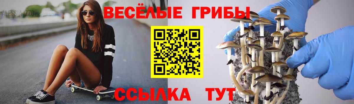 Боровичи  Галлюциногенные грибы GOLDEN TEACHER  Вход с VPN 